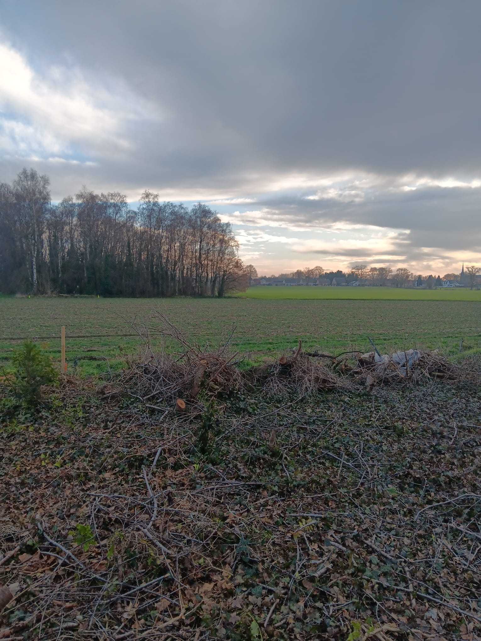 Grond te koop in Bree - foto 3