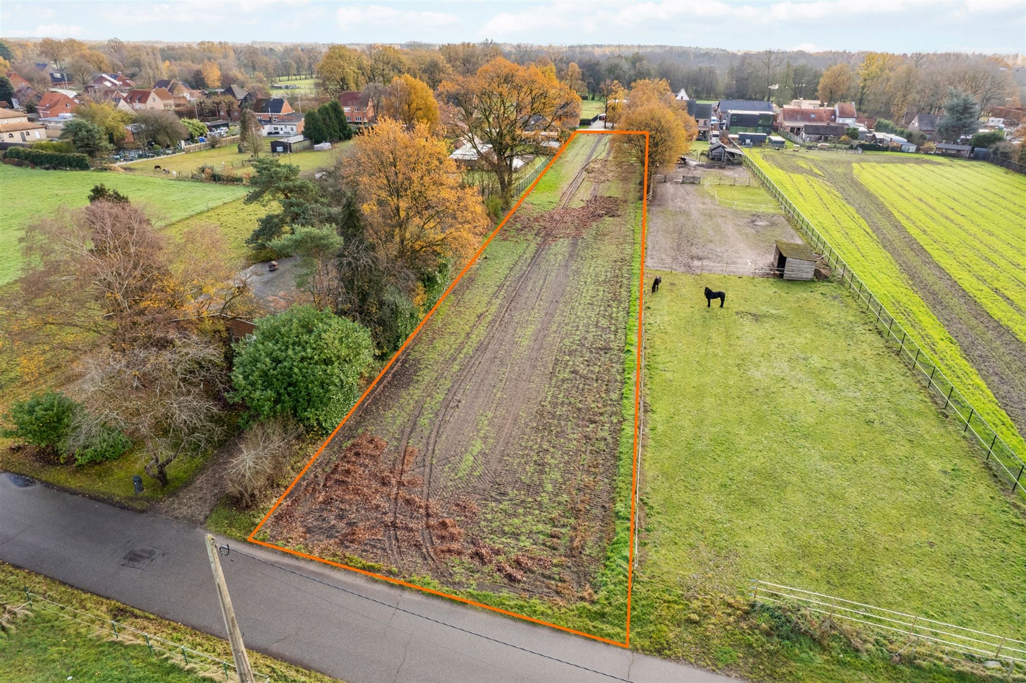 Land for sale in Balen - photo 5