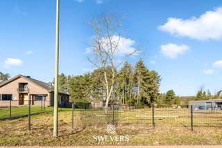 Voor uitgebreide info, surf naar www.SWEVERS.be! – Zeer energiezuinig, uiterst stijlvol, landelijke uitstraling én een absolute toplocatie. Wie hier plots enkele belangrijke troeven van zijn wenslijst hoort afgevinkt worden haast zich best naar de Diestersesteenweg vlakbij het centrum van Paal. Deze prachtige, vrijstaande nieuwbouw villa kan binnenkort immers jouw warme en fijne nieuwe thuis worden. Op dit knappe perceel van 5a 73ca schittert binnenkort een wondermooie, stijlvolle en bovenal uiterst energiezuinige nieuwbouwwoning. De buitenkant wordt gerealiseerd met een zeer gracieuze pastorie-‘look’. Aan de binnenzijde heb jij het voor het zeggen. Jij bepaalt namelijk mee hoe jouw droomwoning dient afgewerkt te worden om volledig te voldoen aan jouw smaak en wensen. Gelijkvloers krijg je naast de inkomhal, met gastentoilet, een grote leefruimte met open keuken. Beide delen genieten van een zalige hoeveelheid natuurlijke lichtinval en zicht op de tuin. Verder is er gelijkvloers nog een handige berging. Boven is er een zeer grote badkamer en twee slaapkamers waarvan de master bedroom zelfs een inloop dressing esnuite krijgt. De vaste trap naar de zolder zorgt ook nog eens voor 46m² aan extra potentieel. Interesse? Tel. 011 255 155. Bron bewoonbare oppervlakte: EPC – verslag.