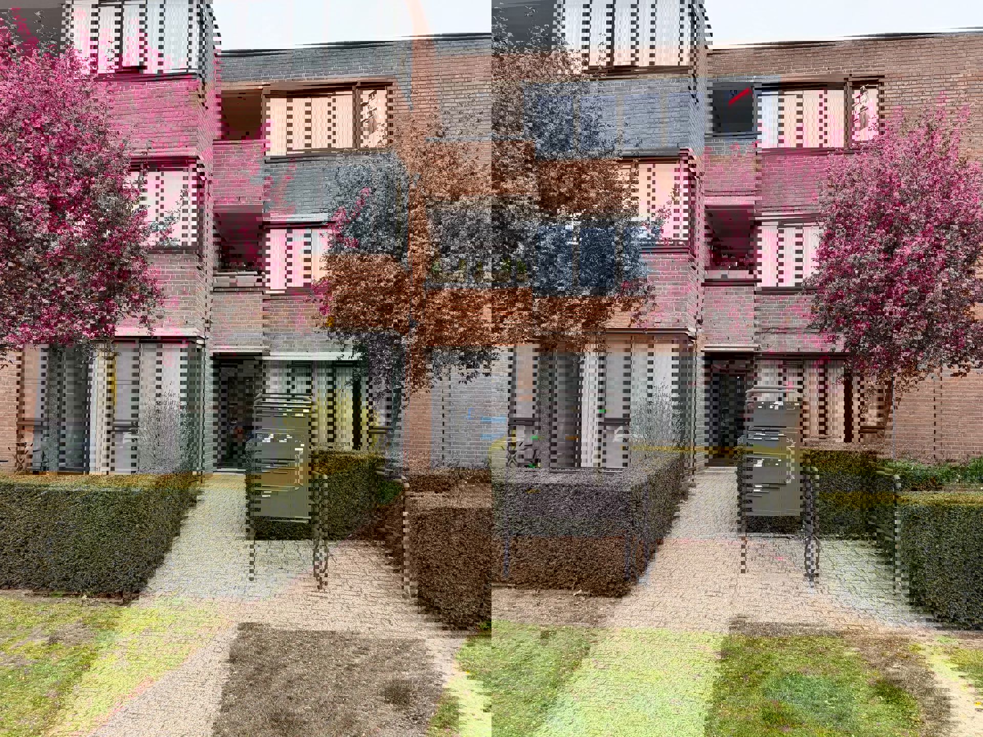 Appartement te huur in Vosselaar met 1 slaapkamer - foto 1