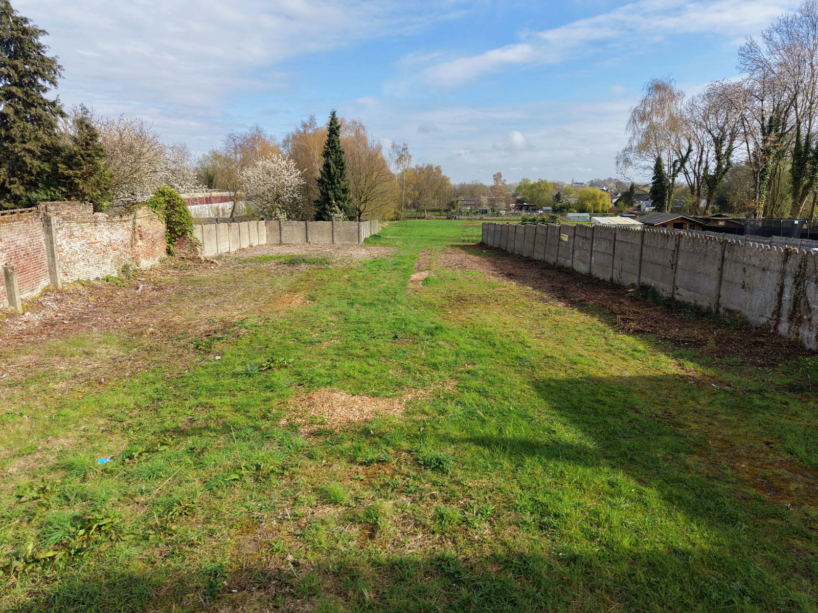 Bouwgrond + weide met diverse mogelijkheden! - foto 5