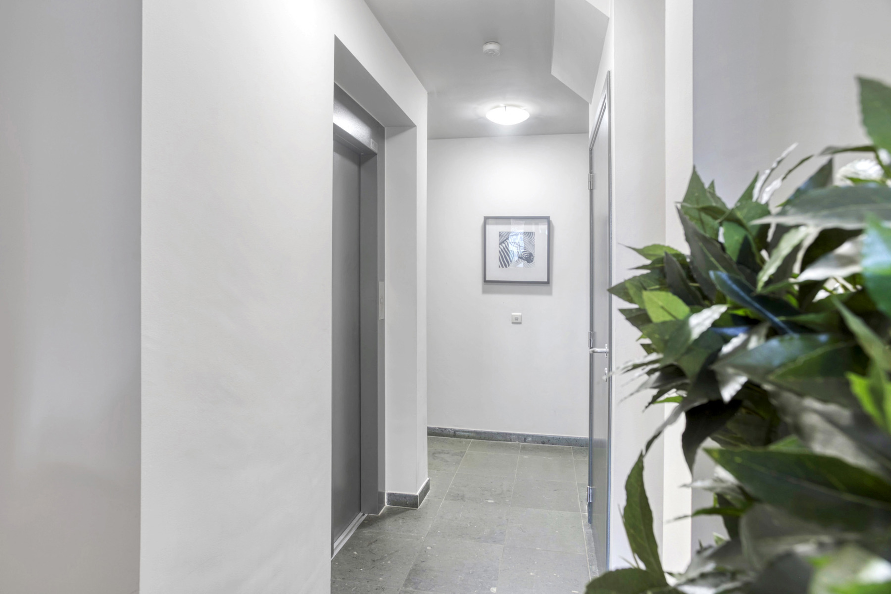 PRAKTIJKRUIMTE / 2 SLAAPKAMERAPP - foto 4