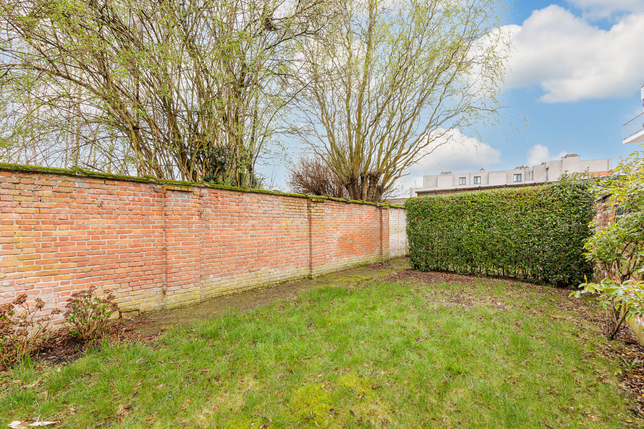 Maison à vendre à Turnhout avec 3 chambres - photo 2
