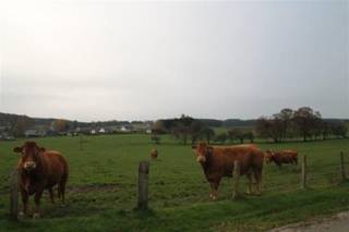 Villagronden met min. 10 % rendement. bel voor info 050 41 55 50Deze gronden zijn bouwklaar met dossier zonder bouwverplichtingen. ...