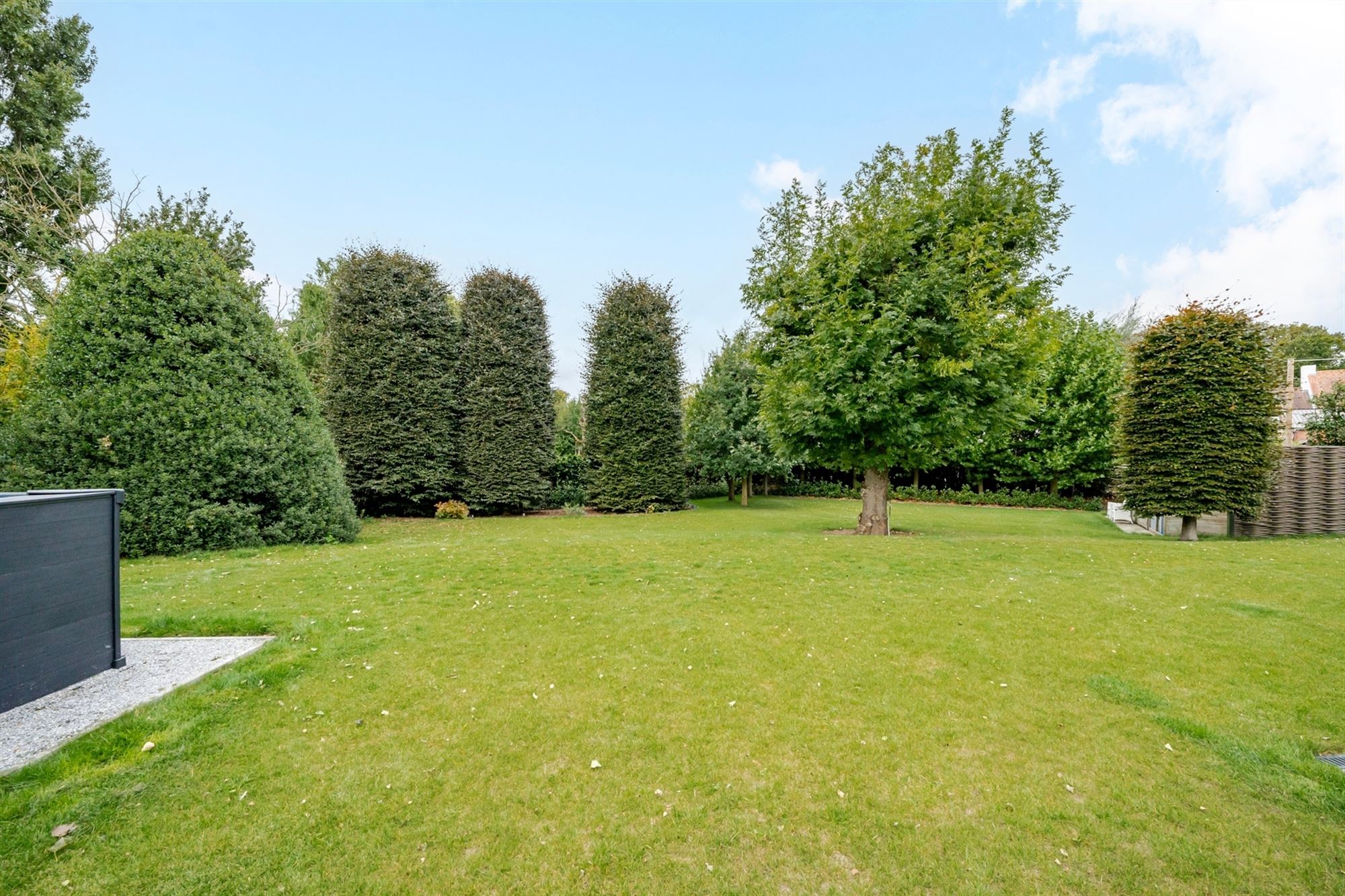 Exclusieve ruime villa op 1.988 m² - ideaal voor wie wonen wil combineren met een zelfstandig beroep - foto 4