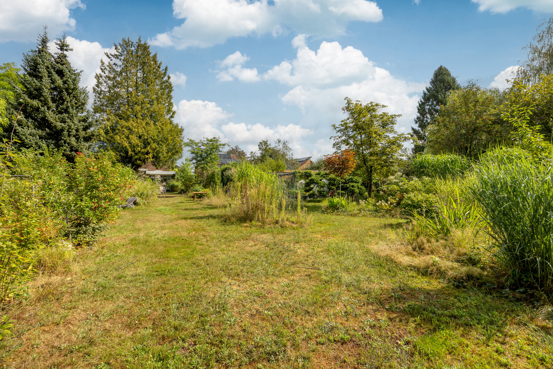 Karaktervolle woning op uitzonderlijk perceel  - foto 2