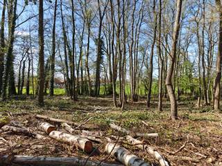 In de Nimfenbosdreef te Zonnebeke vinden we deze recreatiegrond terug. De grond is centraal, doch rustig gelegen. Je kunt er ongestoord genieten...