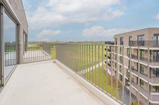 Ontdek dit nieuwbouwproject aan de Heizijde in Turnhout: rustig gelegen, omringd door groen en toch vlakbij alle voorzieningen.<br /><br />Dit moderne appartement beschikt over een zalig terras, een lichtrijke leefruimte met volledig geïnstalleerde keuken, een praktische berging, twee slaapkamers, een badkamer met inloopdouche en een apart toilet. <br /><br />Verder is er een ondergrondse autostaanplaats voorzien, evenals een gemeenschappelijke fietsenstalling.<br /><br />Bij interesse, vraag dan zeker uw bezoek aan via onze website.