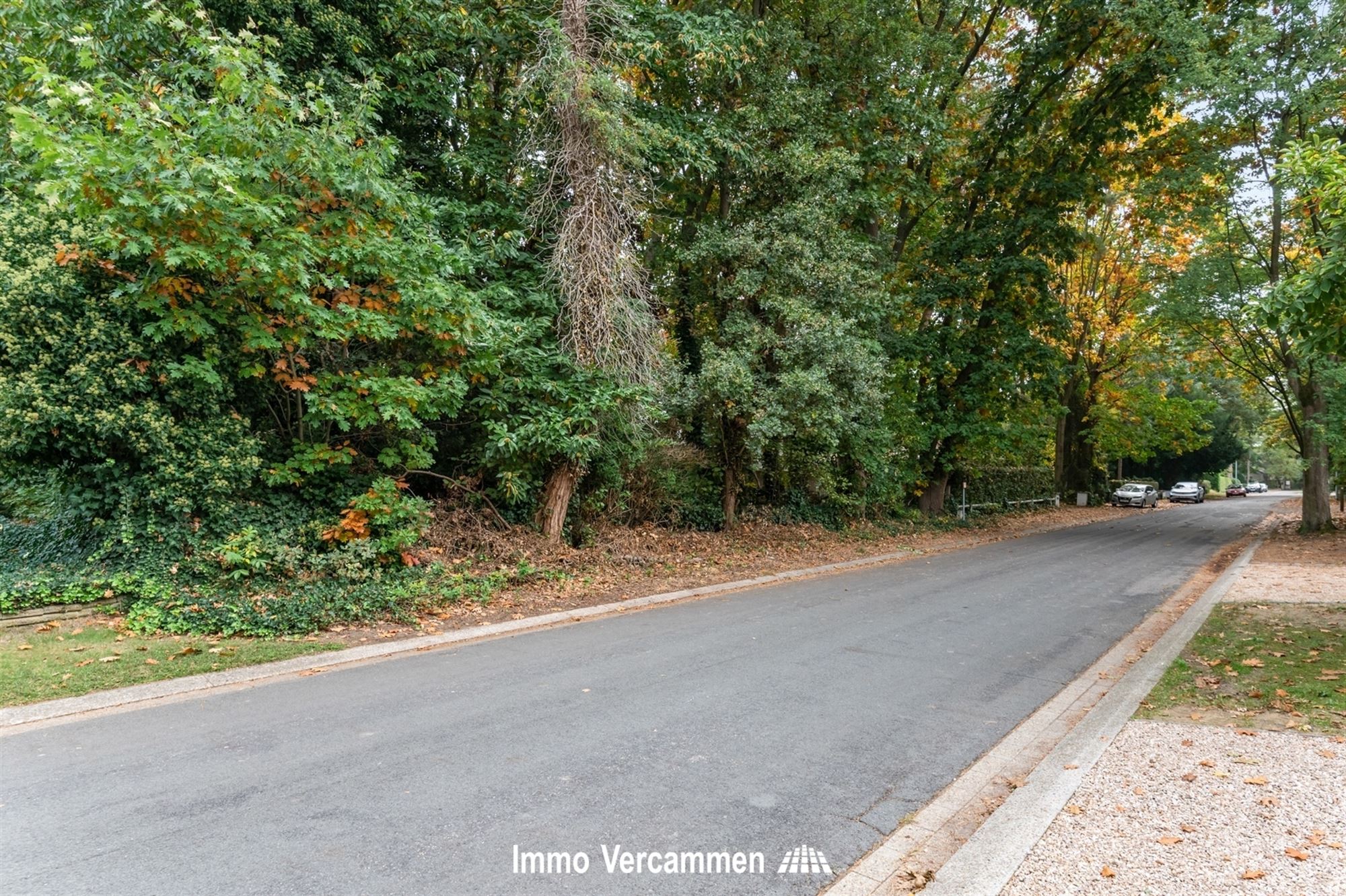 Bouwgrond voor open bebouwing op een uitstekende locatie te Bonheiden - foto 3