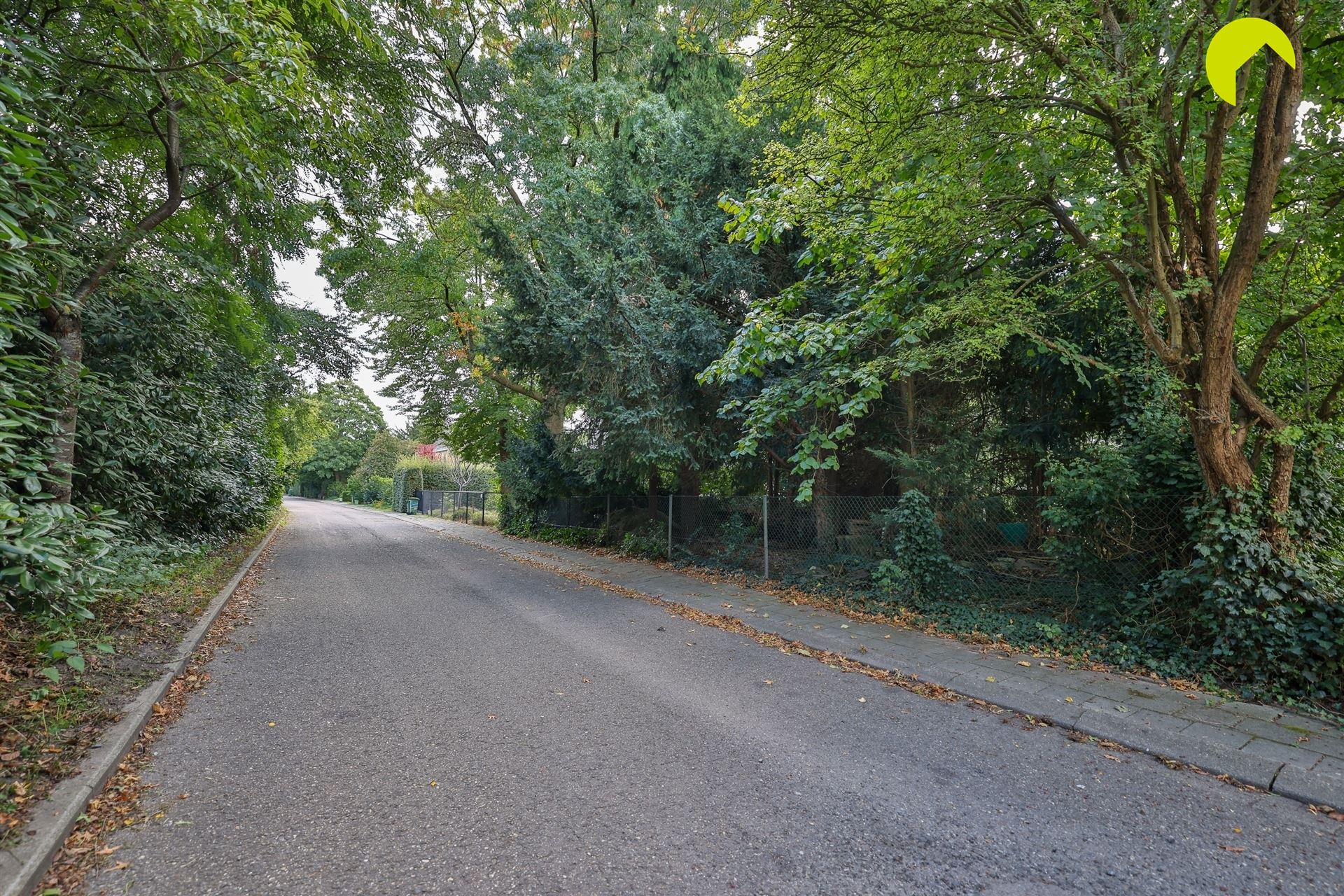 Bouwgrond  in de Dieseghemwijk te koop! - foto 4