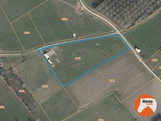 ASSE - Verzorgde paardenaccommodatie op 1,07ha met vergunde stallen<br /><br />Op een vlot bereikbare locatie in Asse bevindt zich deze verzorgde accommodatie op een perceel van ca. 1,07 hectare, waar functionaliteit en comfort hand in hand gaan. De eigendom werd met oog voor praktisch gebruik ingericht en biedt alles wat nodig is om uw paarden in een aangename en goed georganiseerde omgeving te huisvesten.<br /><br />De vergunde stallen omvatten drie ruime paardenboxen en een zadelkamer/berging. Daarnaast is er ook een handige paddock en een praktische opslagruimte voor hooi en stro. De weide werd opgedeeld in twee afzonderlijke percelen, waardoor een doordacht begrazingsbeheer mogelijk is en het grasland optimaal behouden blijft. Dankzij deze indeling kunnen uw paarden genieten van voldoende ruimte, terwijl u het onderhoud van de weides efficiënt organiseert.<br /><br />Ook op vlak van voorzieningen is aan alles gedacht. De drinkbak is aangesloten op een waterput, zodat uw paarden steeds over koel en vers water beschikken. Daarnaast zorgen drie regenwateropvangvaten, goed voor een totale capaciteit van ongeveer 2.500 liter, voor een duurzame watervoorziening. Verlichting is eveneens aanwezig en kan eenvoudig gebruikt worden door een generator aan te sluiten.<br />De eigendom is te vinden met volgende coördinaten: 50.907514, 4.216432<br /><br />Deze eigendom vormt de ideale plek voor wie zijn paarden wil houden in alle rust.<br />Een zeldzame kans voor wie op zoek is naar een klein paradijs op een unieke locatie.<br /><br />Aarzel niet ons te contacteren voor meer informatie of een bezoek: 053/60.65.66