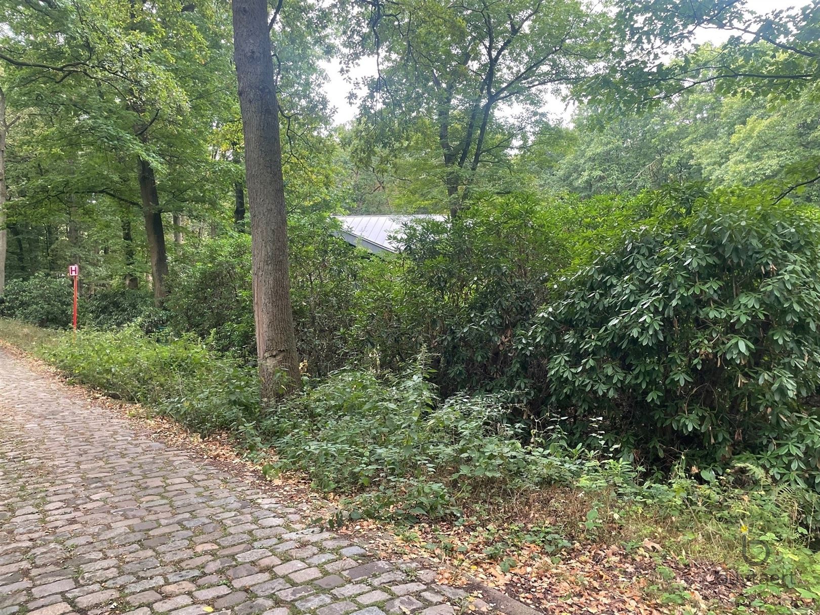 Tof gelegen perceel bouwgrond met vergunning voor een weekendverblijf op 1.812m² in een rustige en groene omgeving! - foto 4