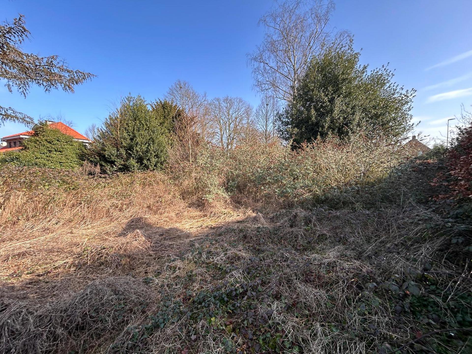 Grond te koop in Kalmthout - foto 5