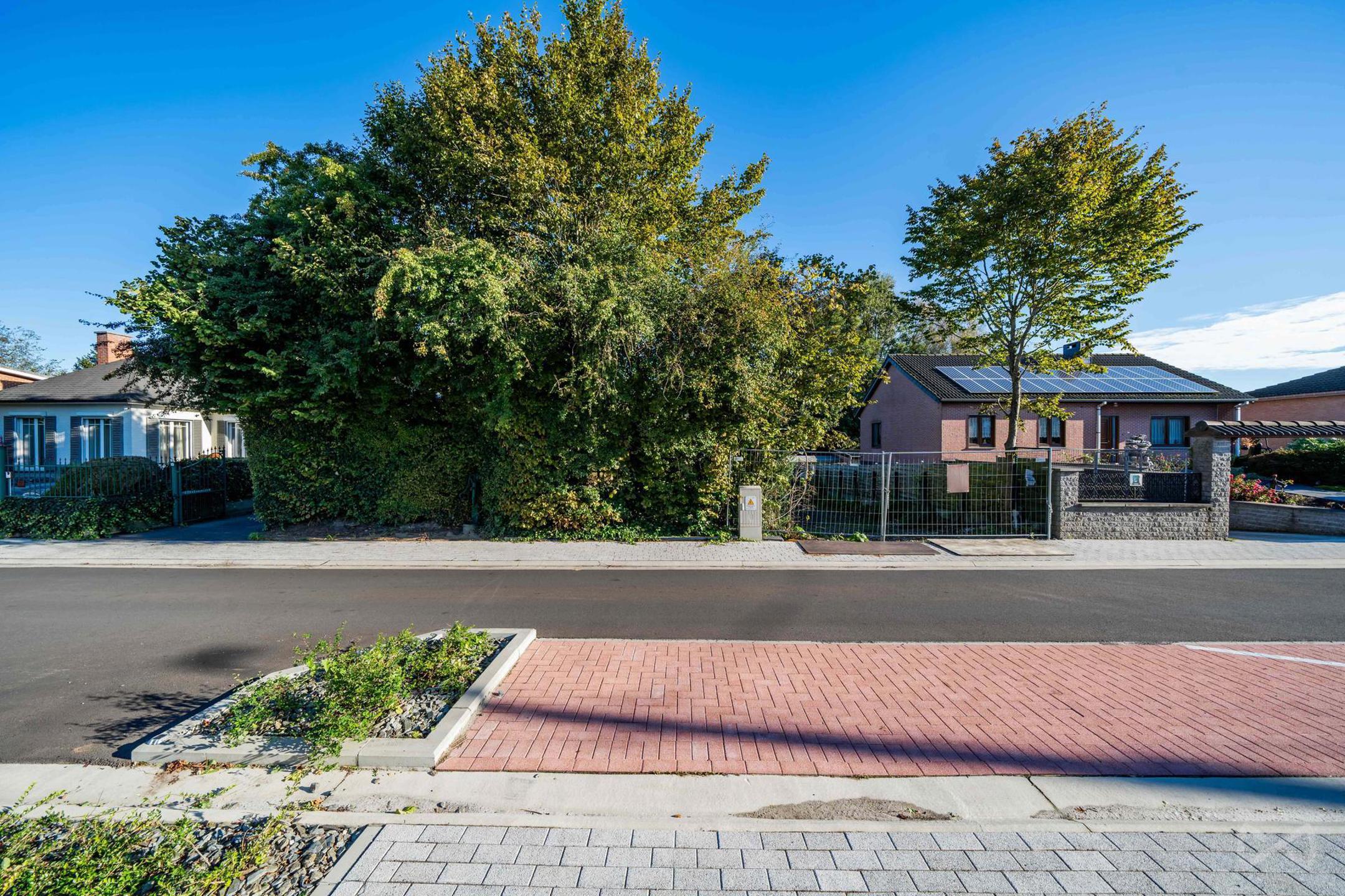 Land for sale in Saive - photo 2