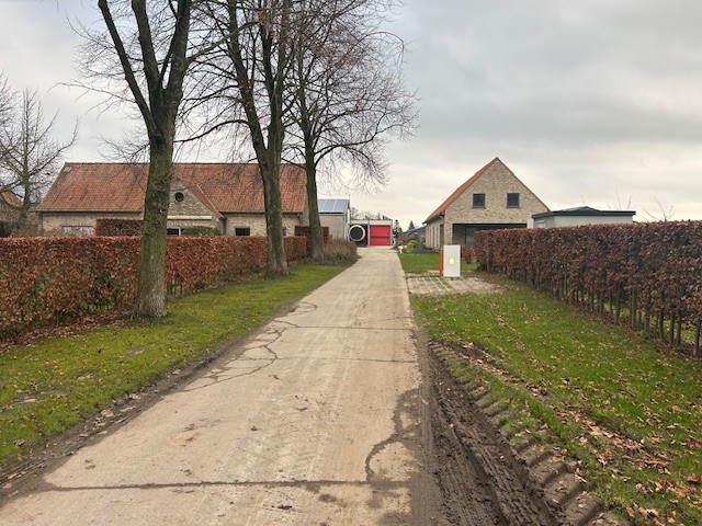 Commercial for rent in Zonnebeke - photo 4