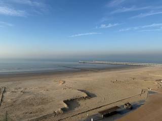 Cet appartement situé au huitième étage (type traversant) a été entièrement rénové avec des matériaux de haute qualité et des placards intégrés...