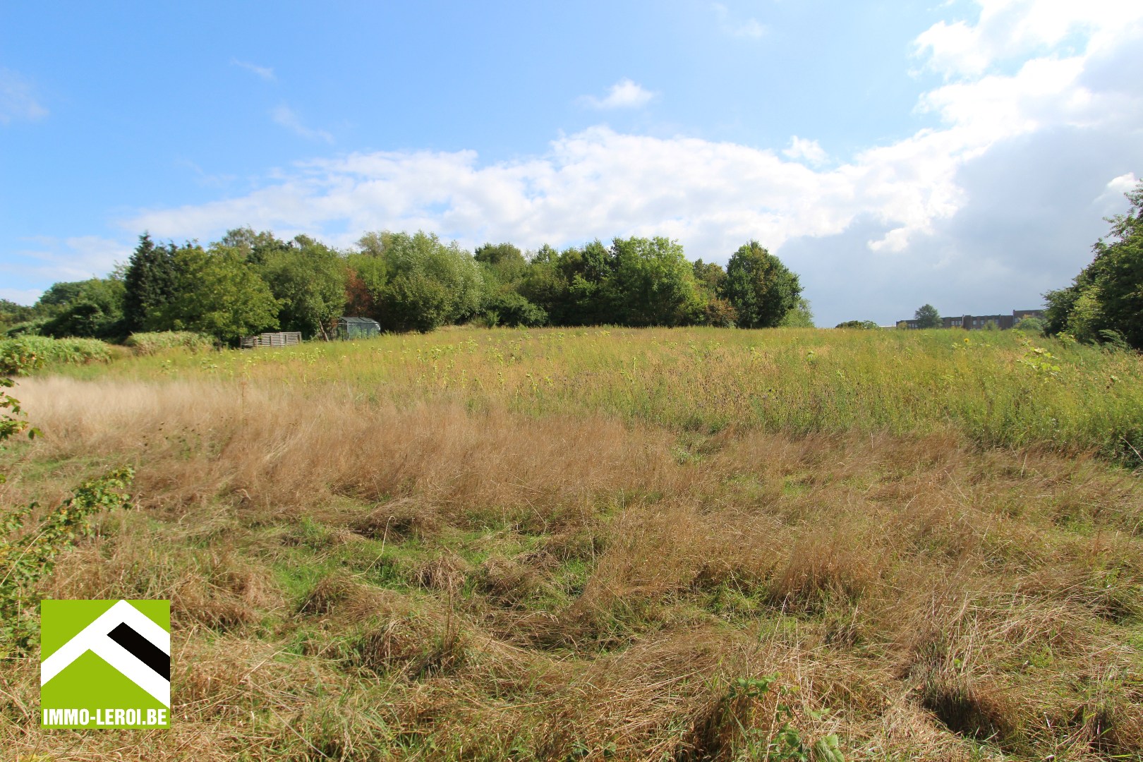 Land for sale in Tongeren - photo 3