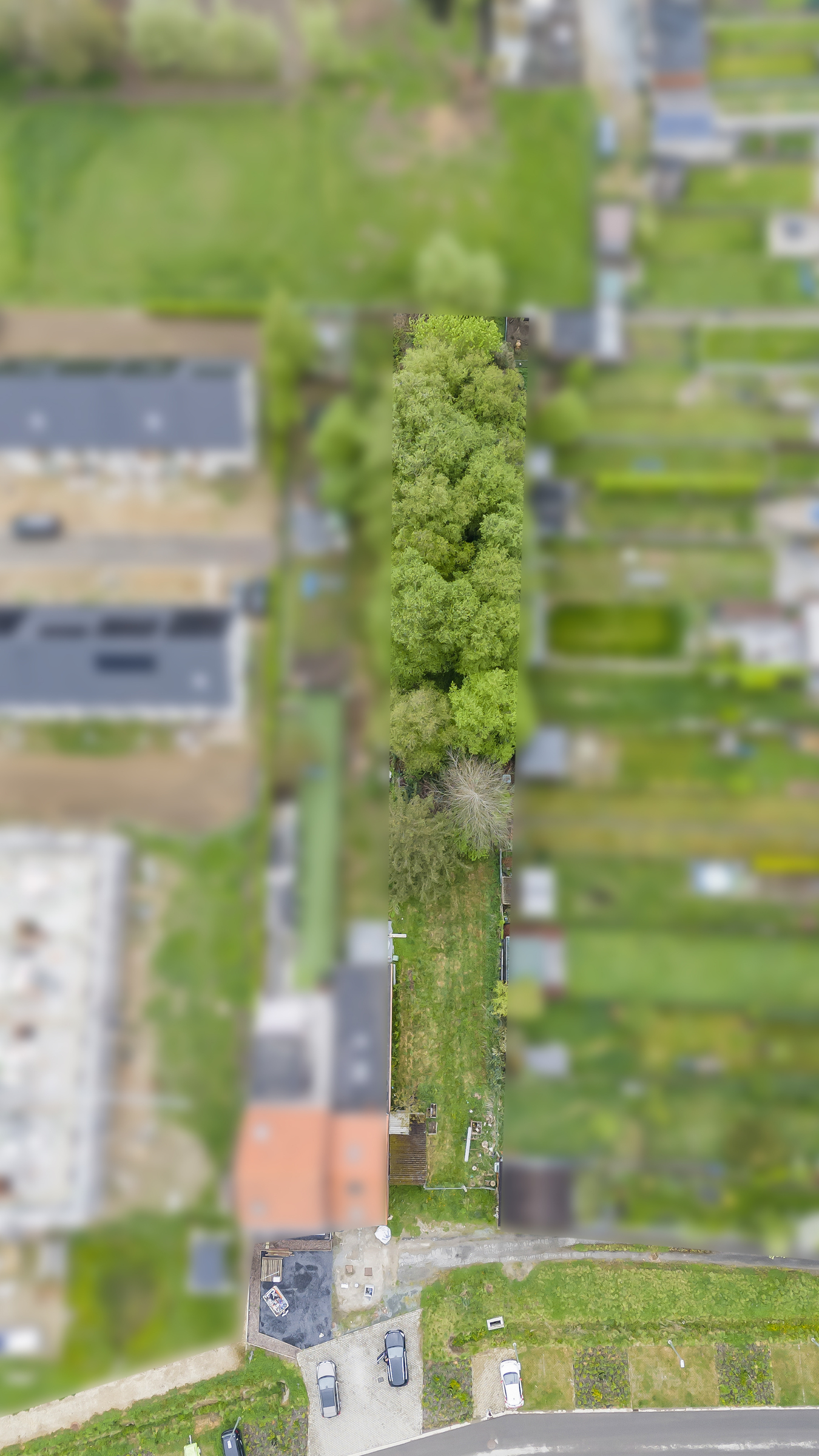 Land for sale in Lebbeke - photo 4