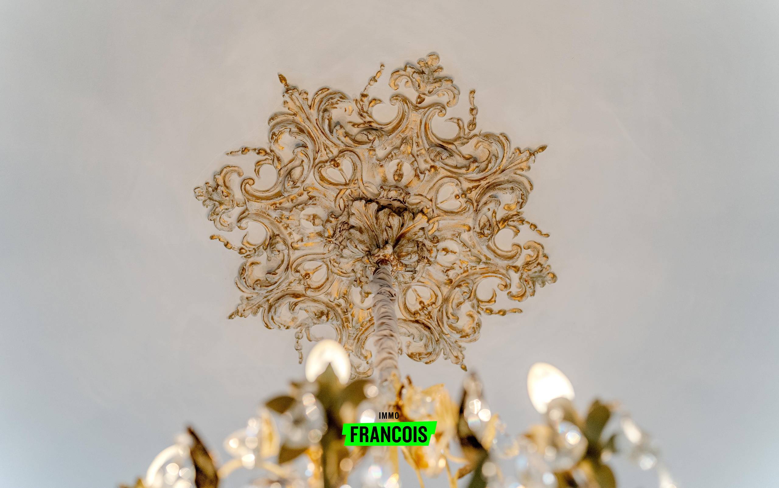 Karaktervolle burgerwoning met open zicht en uitweg in Beveren-aan-de-Ijzer - foto 4