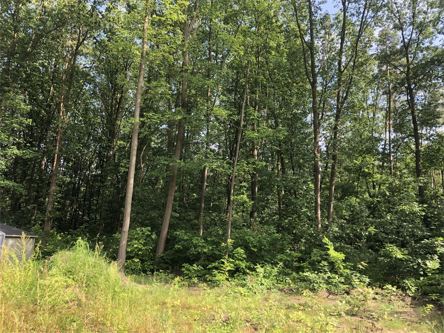 Terrain à vendre à Westmeerbeek - photo 2