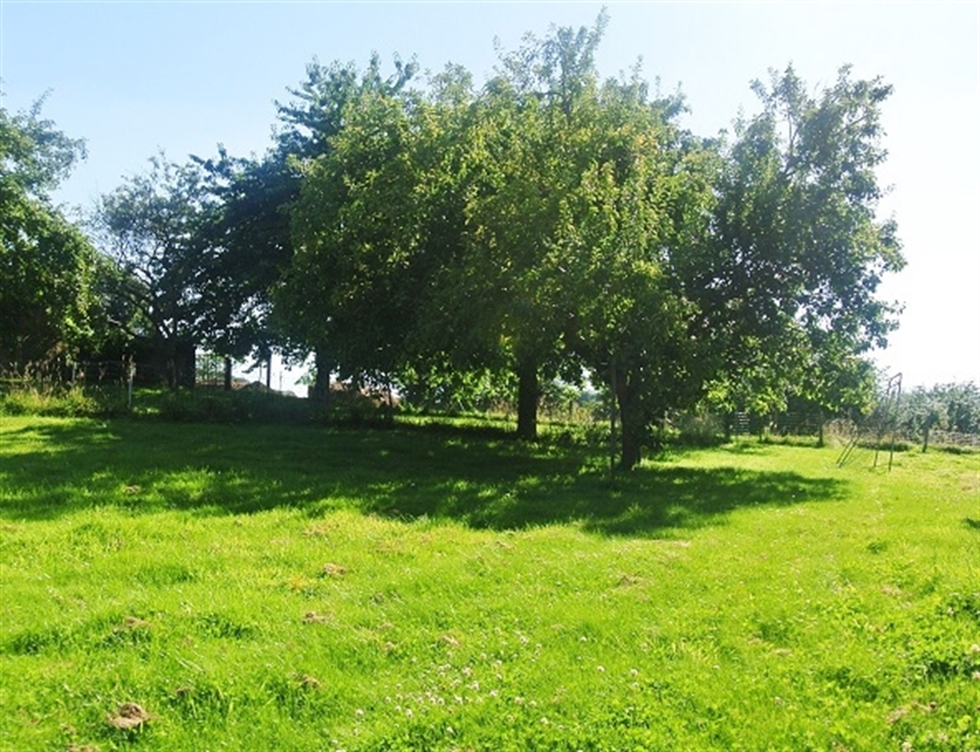 Bouwgrond - foto 1