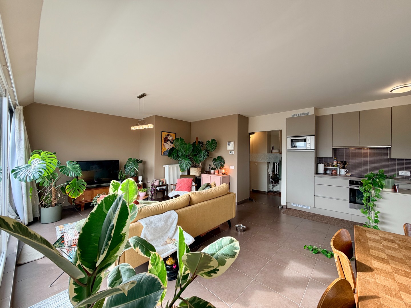 :Woningtype te :Stad