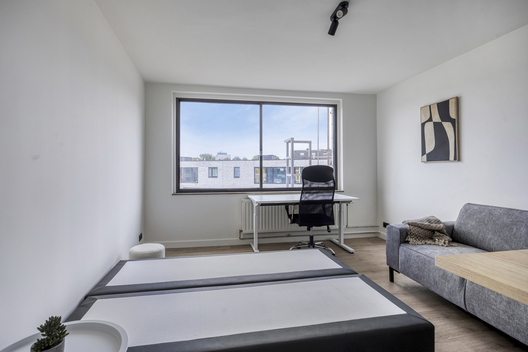 Studio rustig genot Vesaliussite - foto 5