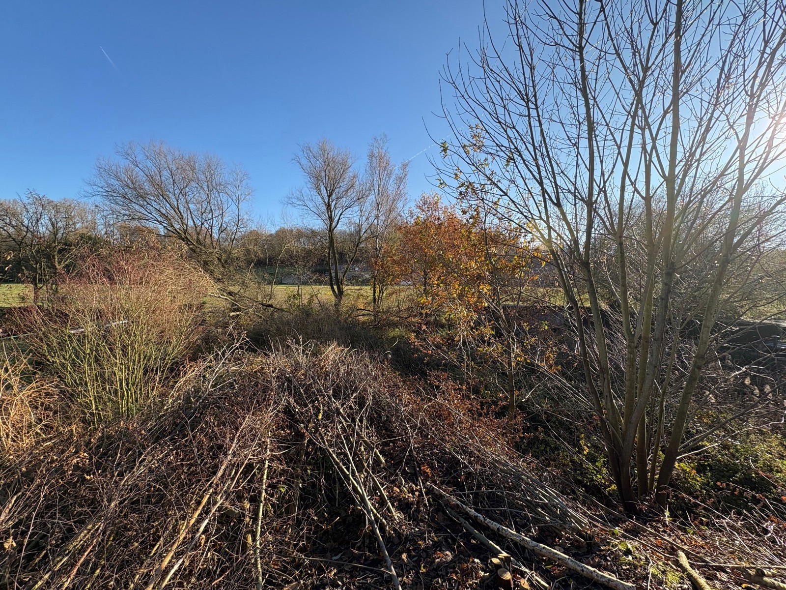 Grond te koop in Tongeren - foto 3