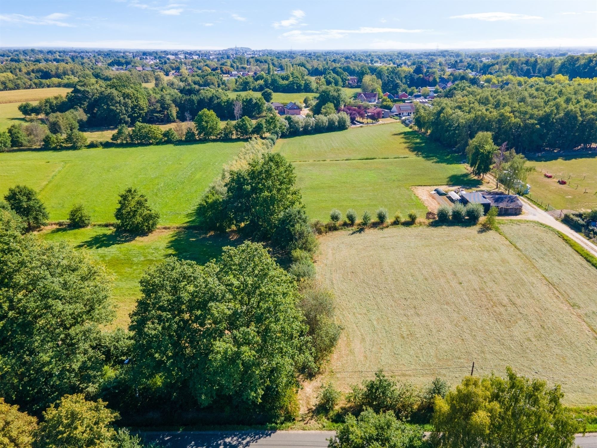 Perceel landbouwgrond te Beerzel - opp. 2547 m² - foto 4