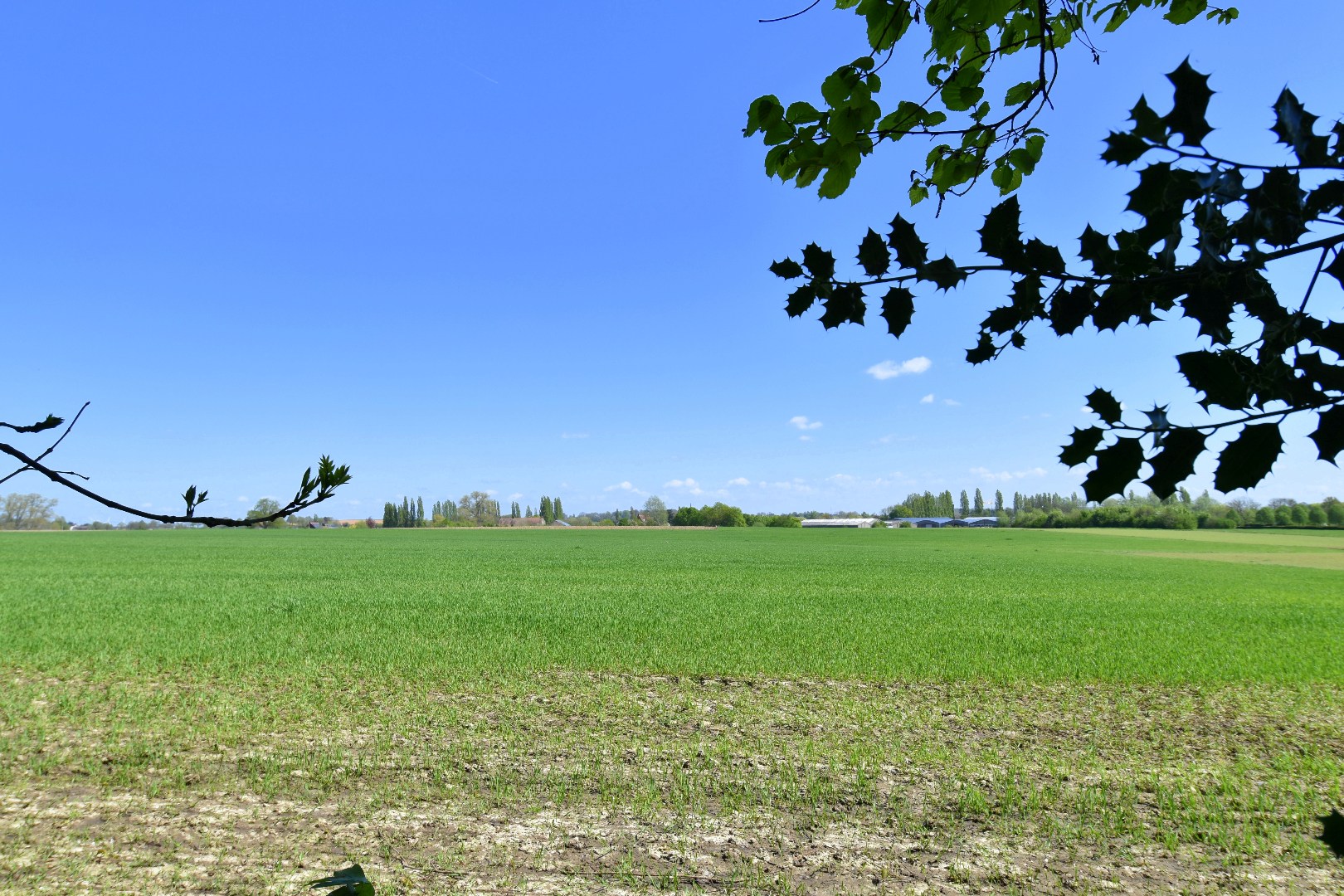 Maison à vendre à Rollegem - photo 5