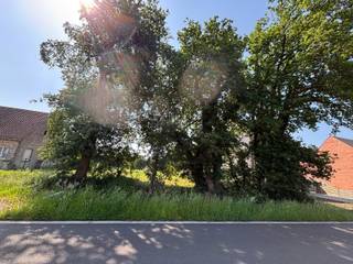 Land for sale in Balen