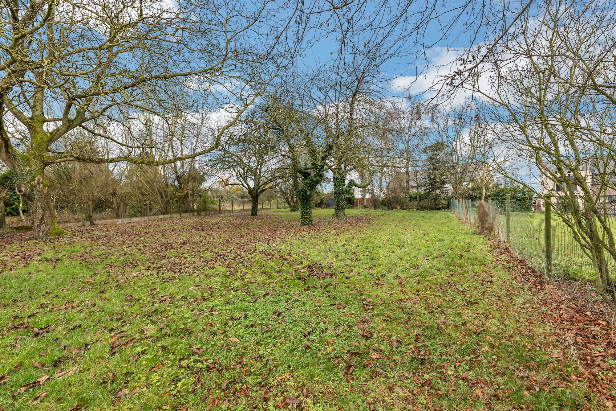 Maison à vendre à Roosdaal avec 3 chambres - photo 3