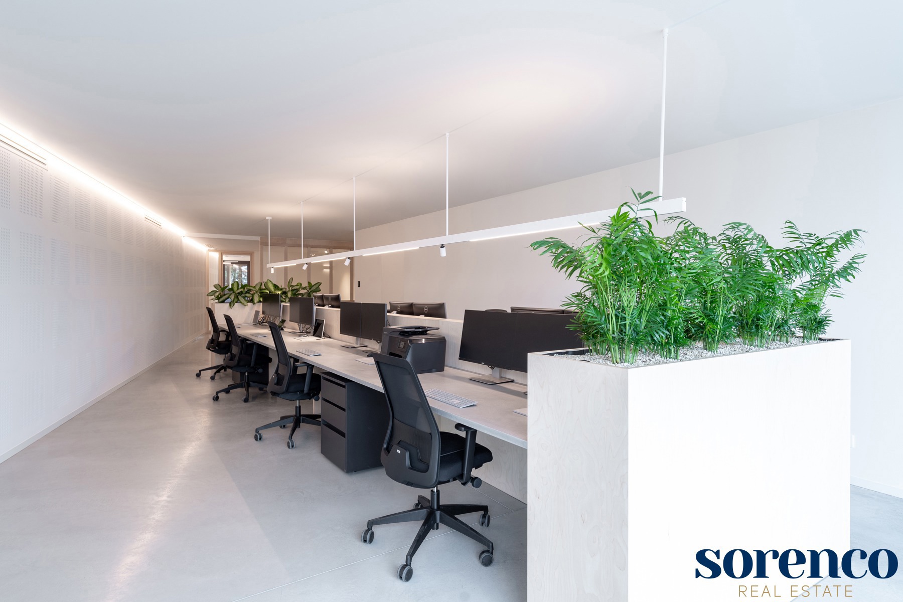 Gelijkvloerse kantoorruimte ca. 275m² + 4 Parkings - foto 2