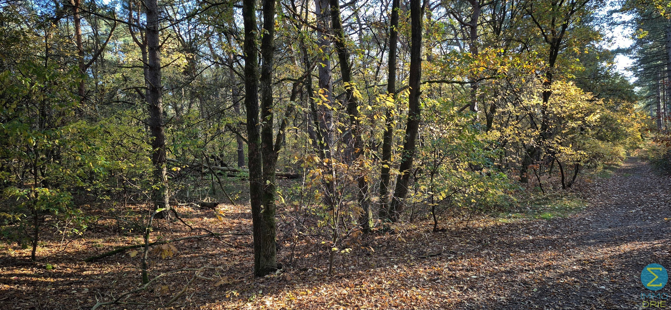 Perceel grond gelegen in recreatiegebied - foto 1