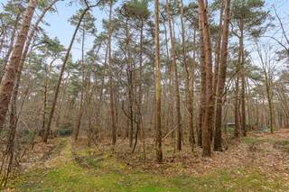 Te Koop: bosperceelDit bosperceel van 2.826 m² is nu beschikbaar voor verkoop.Kenmerken van het perceel: * Locatie: Het bos bevindt is gemakkelijk...