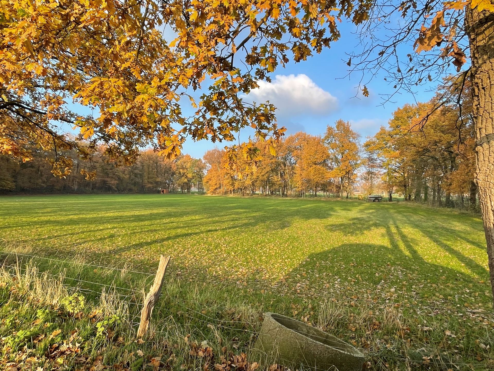 Landbouwgrond - foto 2