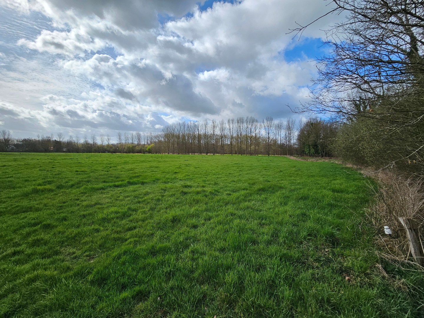 Grond te koop in Haacht - foto 4