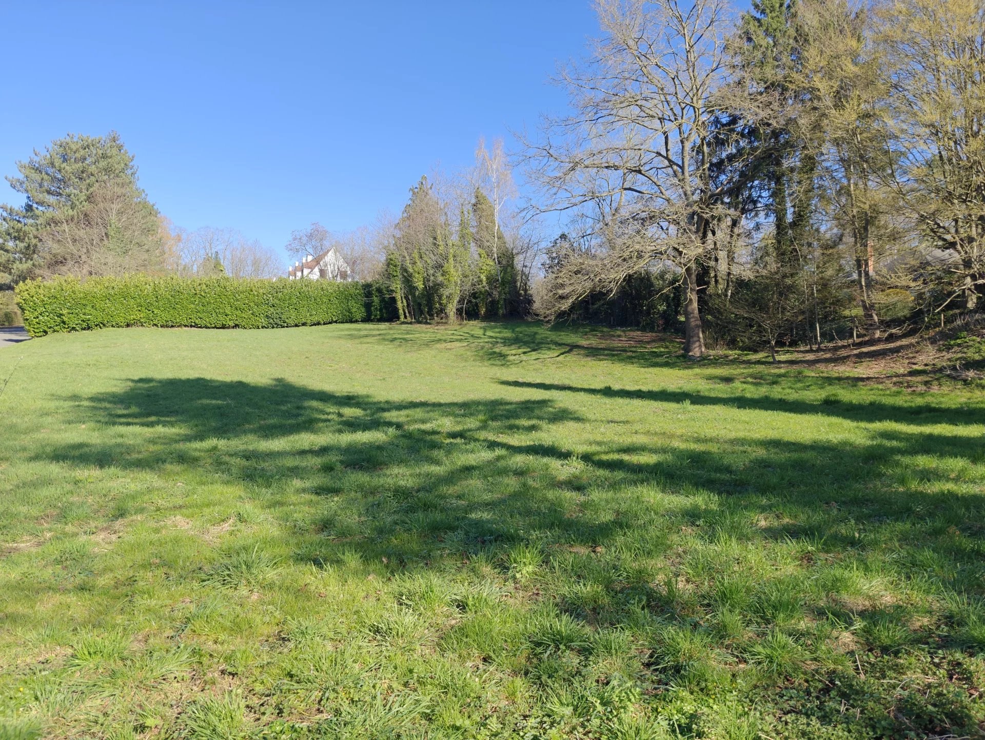 Terrain résidentiel avec permis accordé - photo 3