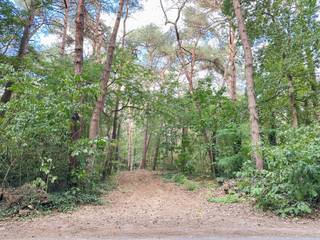 Bent u op zoek naar een ruim perceel in een groene en zeer rustige woonomgeving? Dit uitzonderlijk hoekperceel van maar liefst 4.000 m² biedt u...