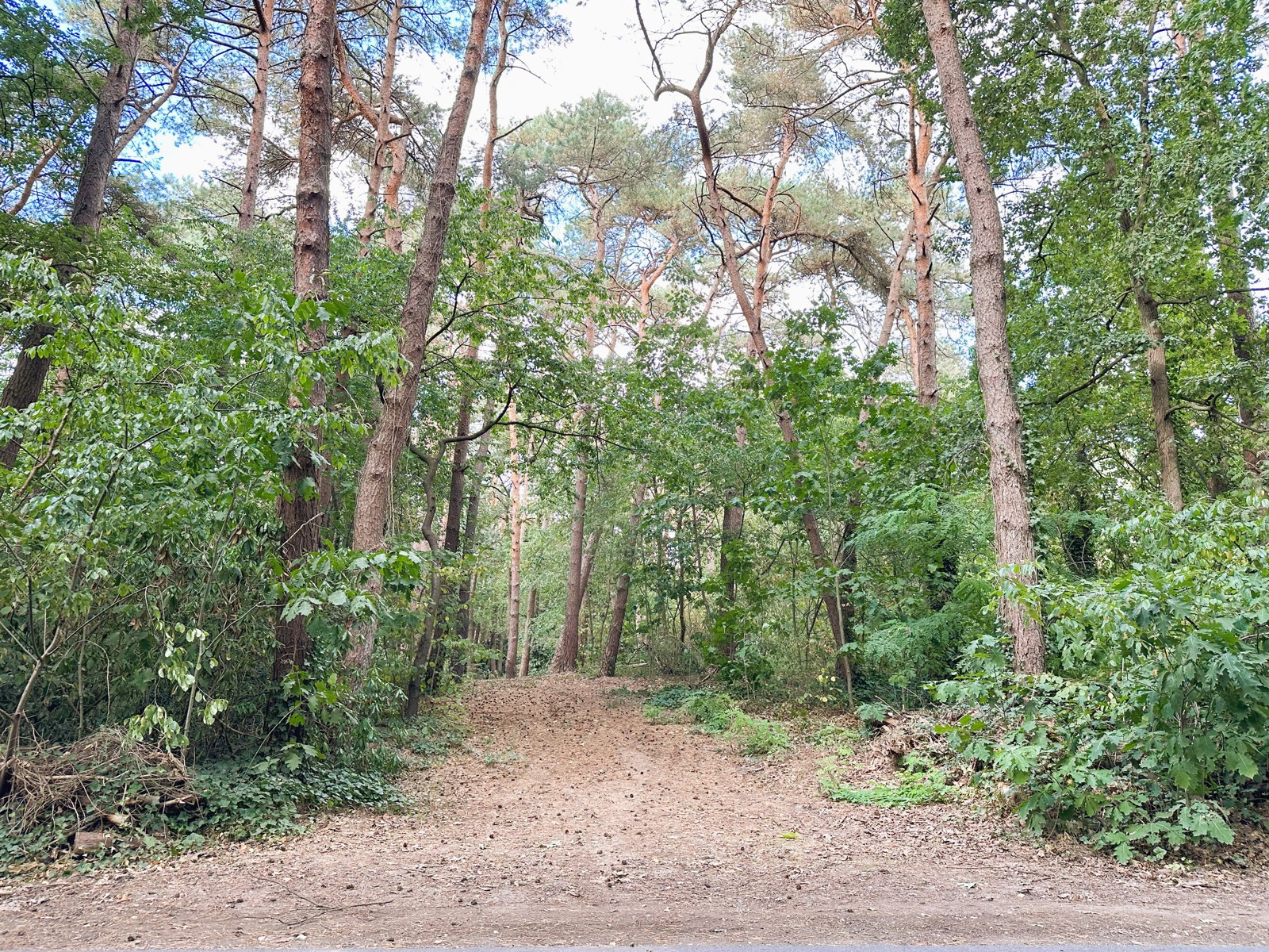 Terrain à vendre à Schilde - photo 1