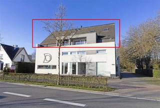 Commercial à vendre à Hasselt