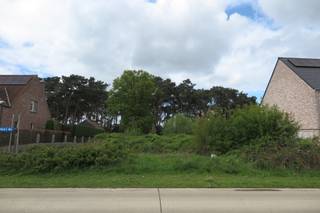 Terrain à vendre à Meerhout