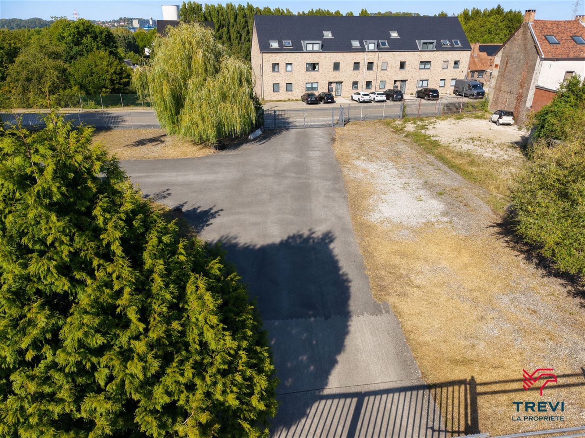 Terrain - photo 5