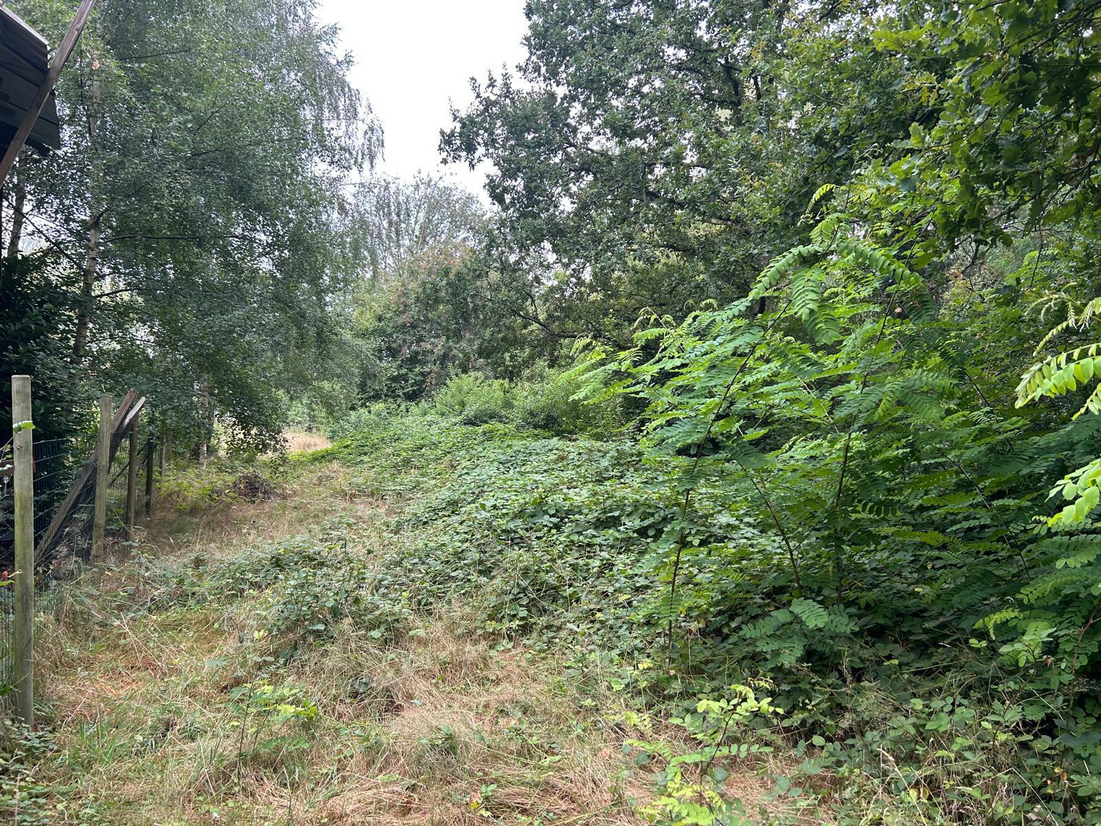 Land for sale in Brasschaat - photo 5