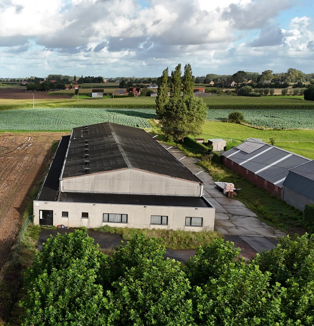 Loods te koop te Vladslo - foto 3