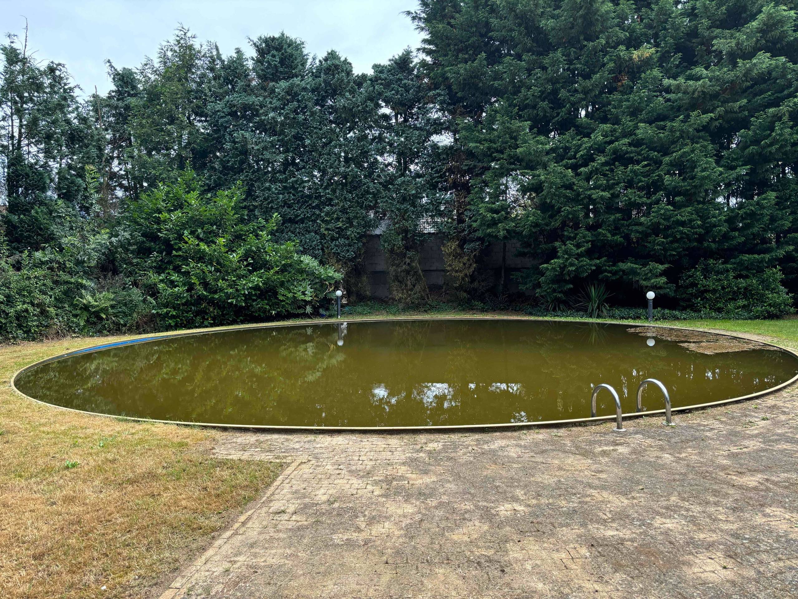 Prachtige woonst op 45a51ca in Meerhout - foto 5