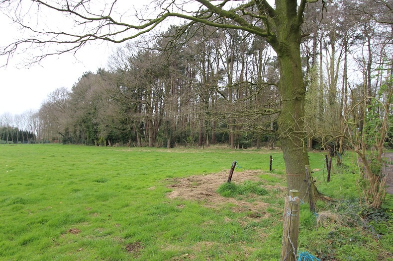 Stuk grond te Jabbeke - foto 5