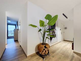 <p><span>Dit ruime en hoogwaardig afgewerkte appartement is gelegen op de derde verdieping van een recent gebouw met lift, in het hart van de levendige dorpskern van Beveren. Dankzij de centrale ligging bevinden de winkelstraten zich als het ware in de achtertuin en geniet u van alle voorzieningen op wandelafstand.</span></p><p><span>Via de inkomhal met apart toilet komt u in de ruime leefruimte, waar de open keuken mooi in het geheel is geïntegreerd. De keuken is volledig uitgerust en beschikt onder meer over een Amerikaanse koelkast, hoge druk stoomoven, combioven en inductiekookvuur. Aansluitend bevindt zich een praktische berging.</span></p><p><span>Via de nachthal bereikt u drie slaapkamers, een dressing en twee badkamers. De eerste badkamer is uitgerust met een ligbad, lavabo en toilet. Daarnaast is er een aparte douchekamer met inloopdouche. Achter de derde slaapkamer (momenteel gebruikt als bureauruimte) bevindt zich het aangename terras, voorzien van een zonneluifel.</span></p><p><span>Via de lift of traphal bereikt u de kelderverdieping, waar het appartement beschikt over een privatieve kelderberging en een ondergrondse autostaanplaats met mogelijkheid tot elektrisch laden.</span></p><p><span>Het appartement is uiterst energiezuinig, wordt verwarmd via een warmtepomp en beschikt over een volledig conforme elektrische installatie. In combinatie met de hoogwaardige afwerking, ruime indeling en uitstekende staat biedt dit appartement een bijzonder hoog wooncomfort.</span></p><p><span>Voor meer informatie of een bezoek, contacteer ons vandaag nog via 03 500 05 40.</span></p>