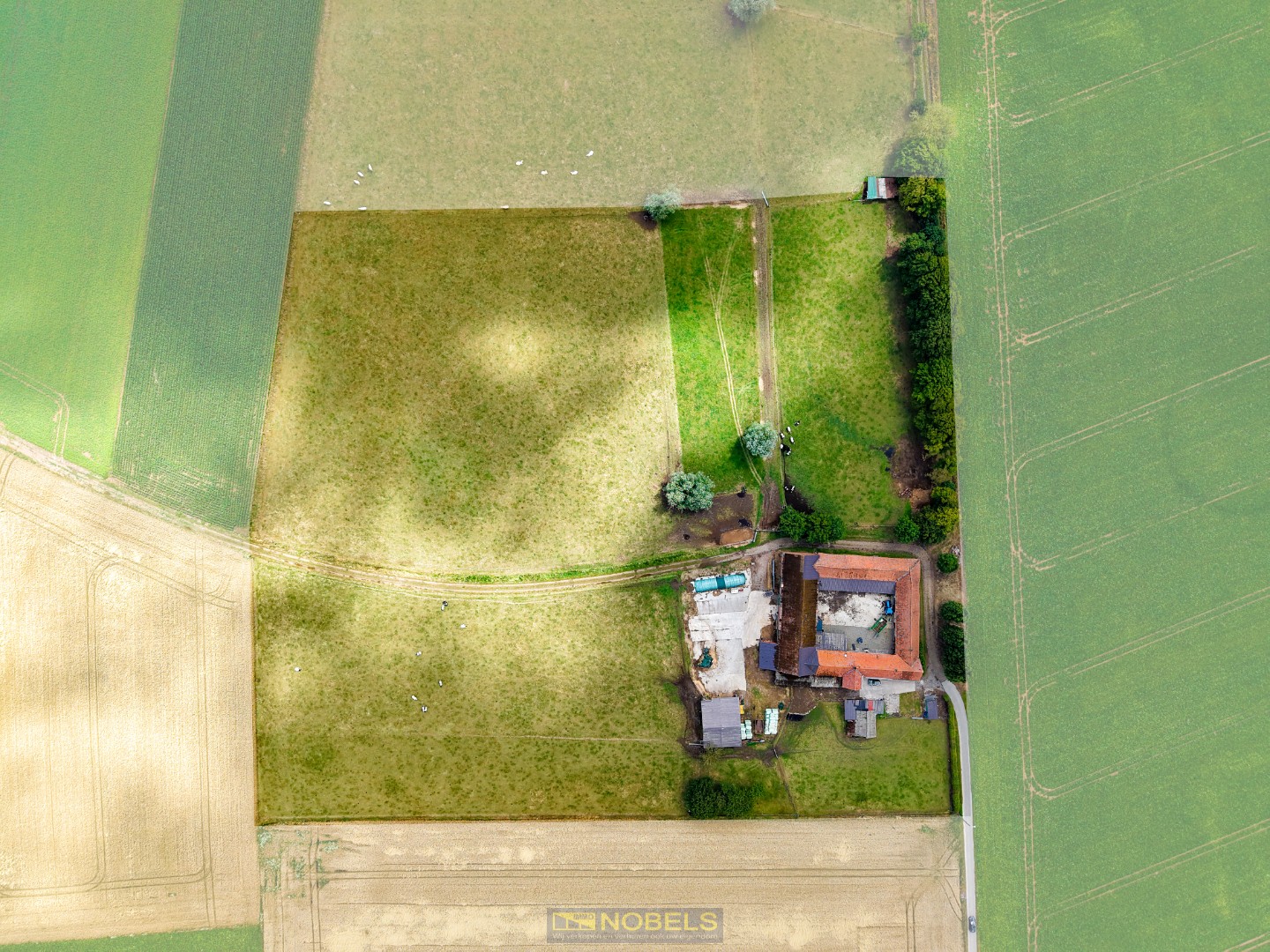 Te koop, uiterst rustig gelegen vierkantshoeve op 4 hectare te Maarkedal - foto 3