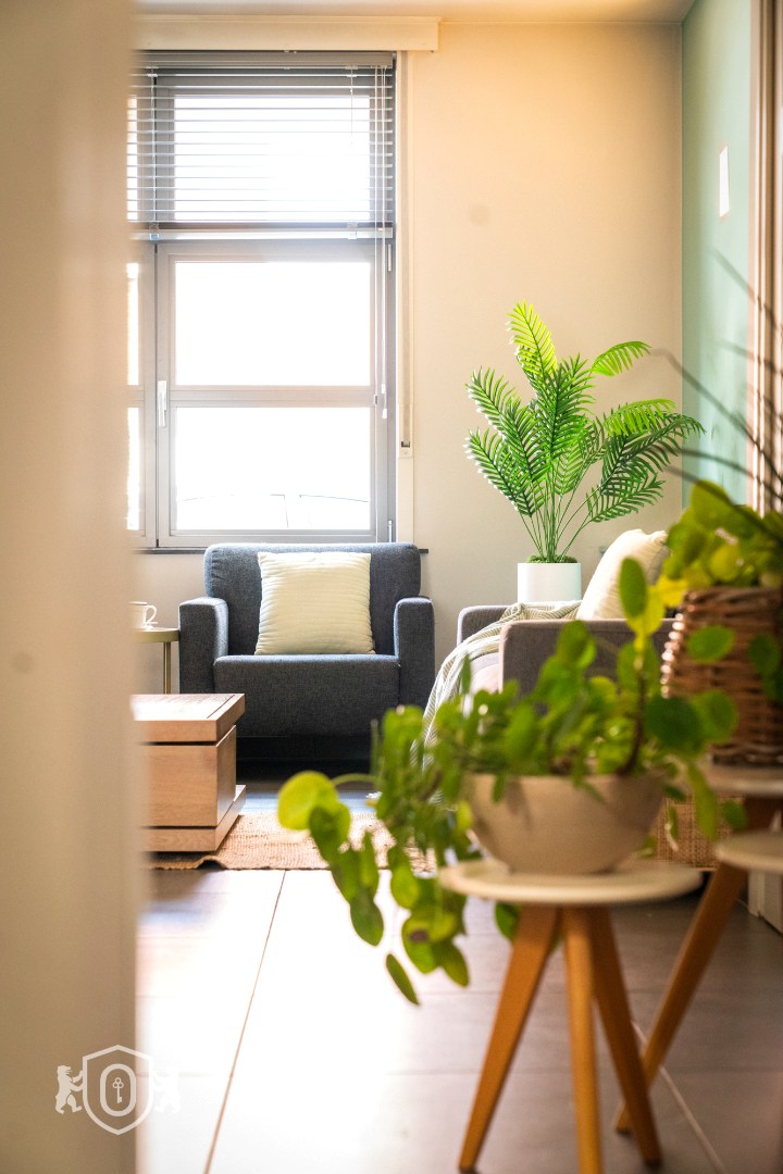 Instapklare 3-slpkr woning met tuin - foto 5